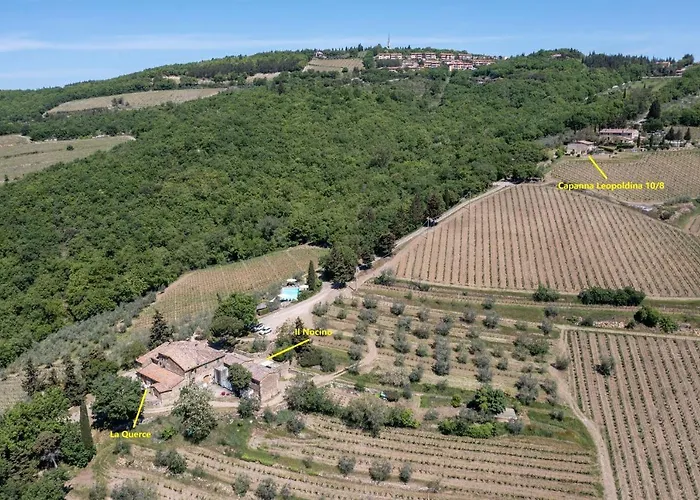 Capanna Leopoldina 8 Apartment Castellina in Chianti